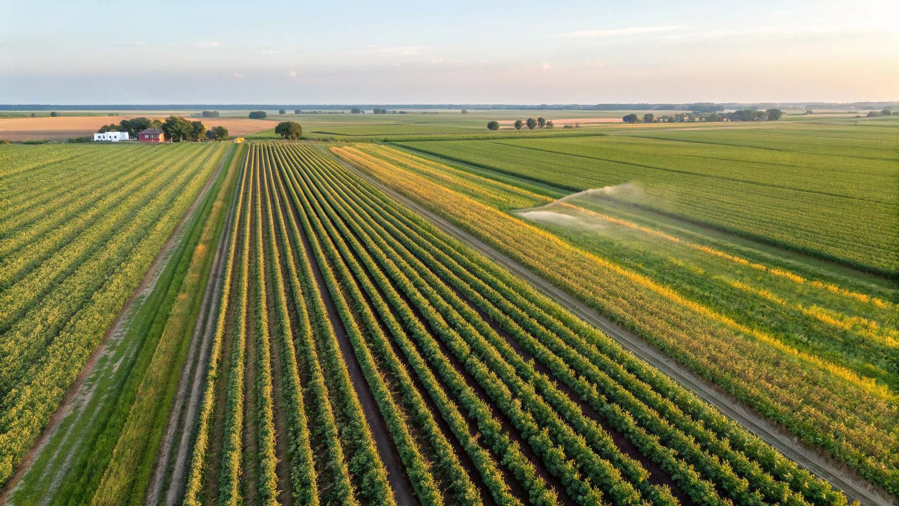 Agro-allied Industry industry